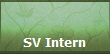 SV Intern
